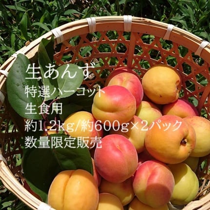 A 特選 ハーコット・生食用 約1.2kg/ 約600g×2パック 送料込（クール便