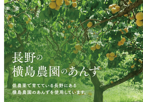 🍊杏ケーキ  1本(約300g) 箱入