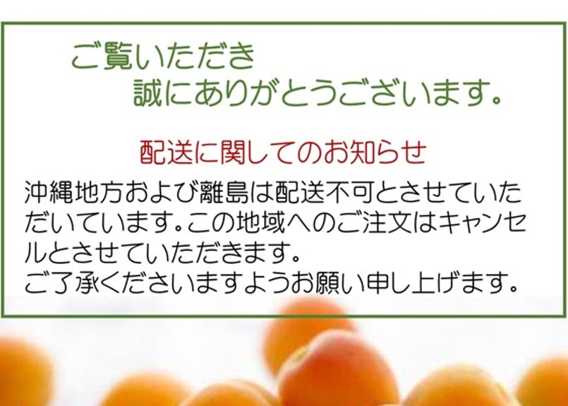 🍊セミドライ&天日干しあんず(各100g) 2点ギフト | yokoshima anzu st