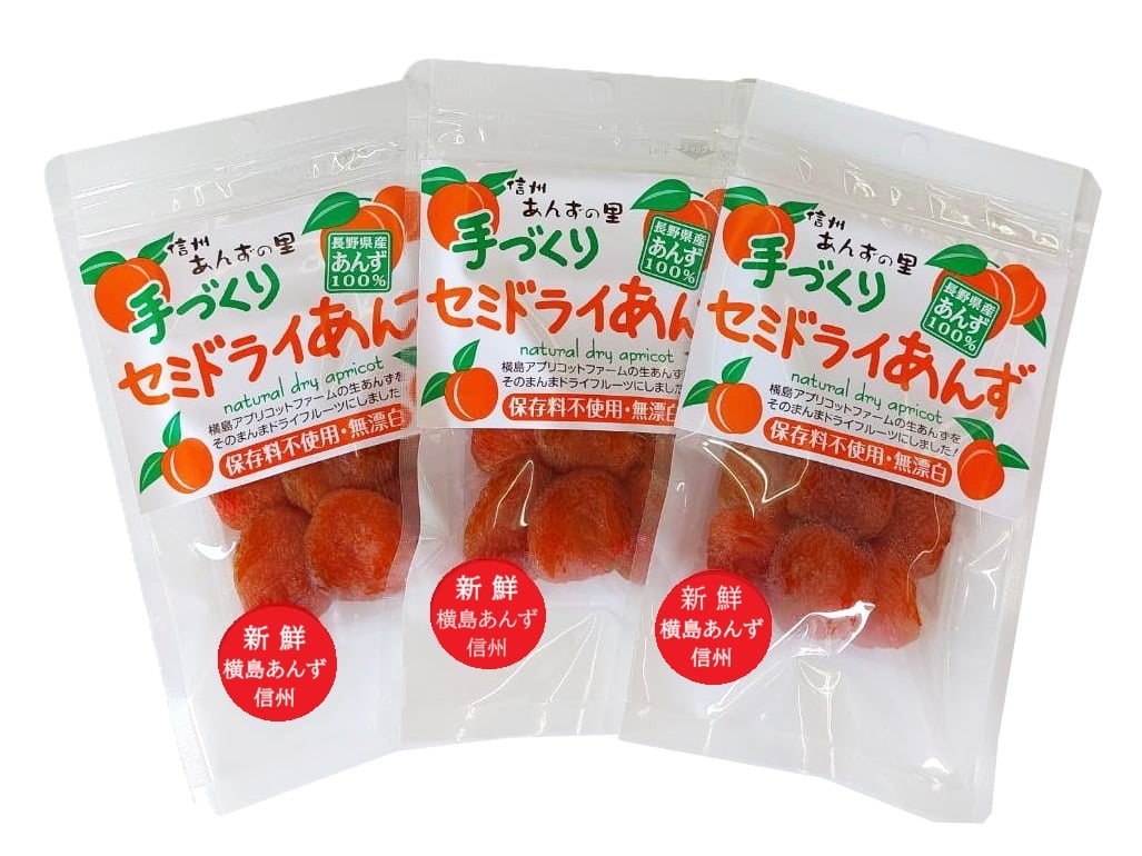 🍊セミドライあんず(ミニ) 40g | yokoshima anzu store (横島 あんず)