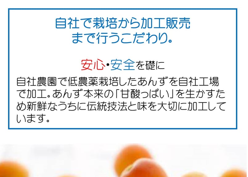 あんず 約10キロ（箱込） 🍊杏ゼリー 125g5個 ギフト | yokoshima anzu store (横島 あんず)
