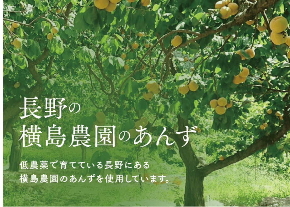 62ff17131d6b10096d953d14