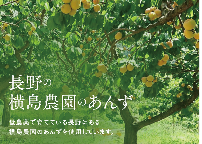 🍊まるごと冷やり生あんず 冷凍 | yokoshima anzu store (横島 あんず)