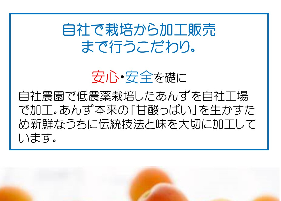 🍊杏スパークリング (炭酸飲料)310ml6本ギフト | yokoshima anzu sto