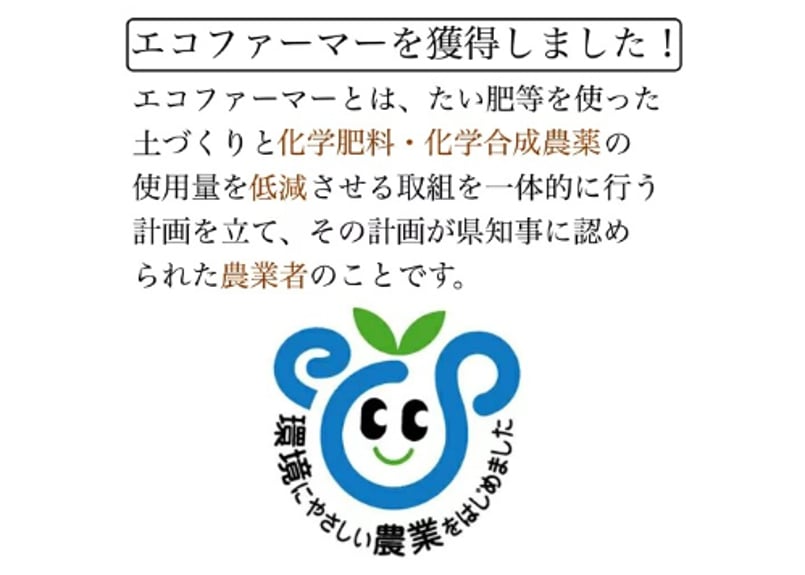 🍊杏チョコレートクランチ 10個入 | yokoshima anzu store (横島 あんず)