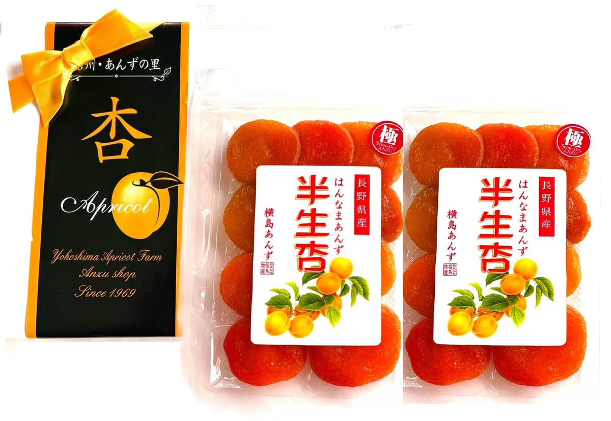 🍊極選 半生杏 100g | yokoshima anzu store (横島 あんず)