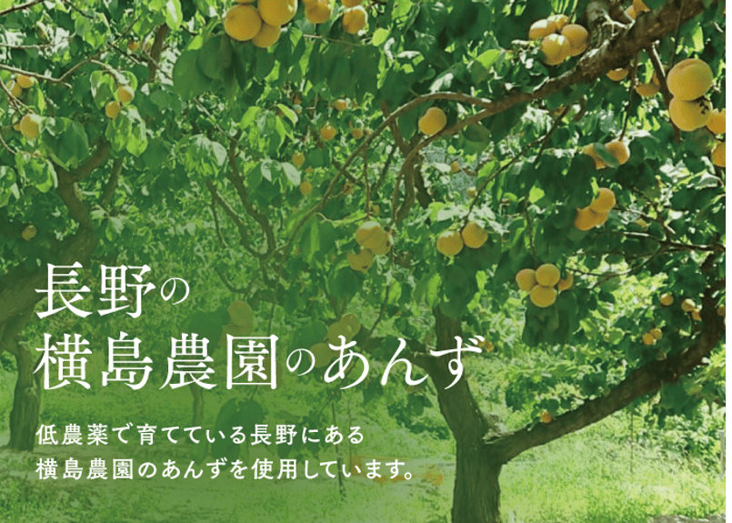 専用出品　あんず様5kg 楽天市場】レビュー高評価 発送中 生あんず 5kg 2025 長野県千曲市産