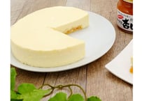 🍊杏チーズケーキ　15cm 冷凍