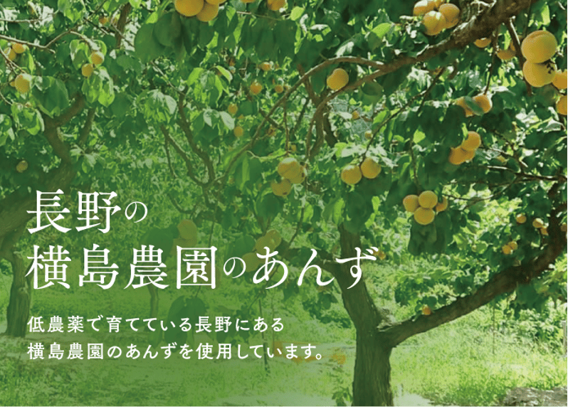 🍊天日干しあんず(ミニ) 40g | yokoshima anzu store (横島 あんず)