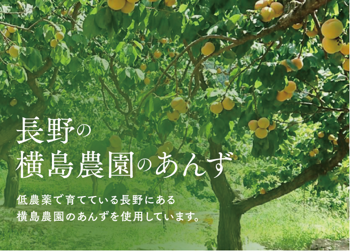 🍊天日干しあんず(ミニ) 40g | yokoshima anzu store (横島 あんず)