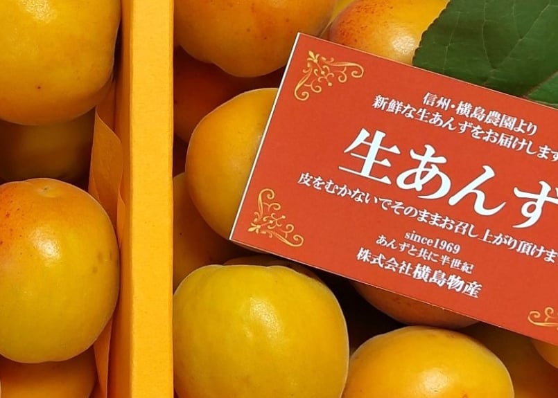 信州産　生あんず　ハーコット４kg　はねだし A 特選 ハーコット・生食用 約1.2kg/ 約600g×2パック 送料込（クール便