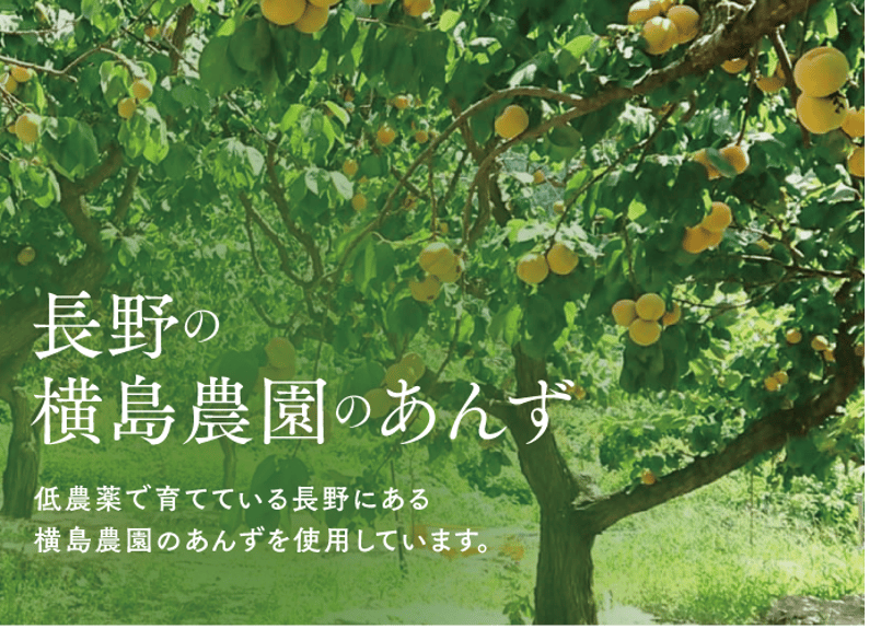 🍊セミドライあんず(ミニ) 40g | yokoshima anzu store (横島 あんず)