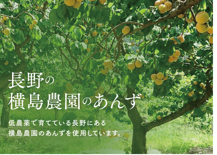 🍊セミドライあんず(ミニ) 40g | yokoshima anzu store (横島 あんず)