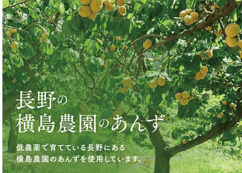 🍊セミドライあんず (40g) 3袋ギフト | yokoshima anzu store (横