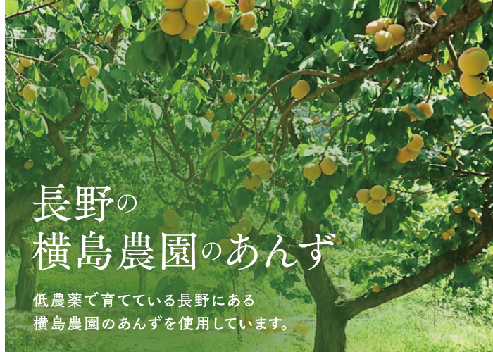 🍊セミドライあんず (40g) 3袋ギフト | yokoshima anzu store (横