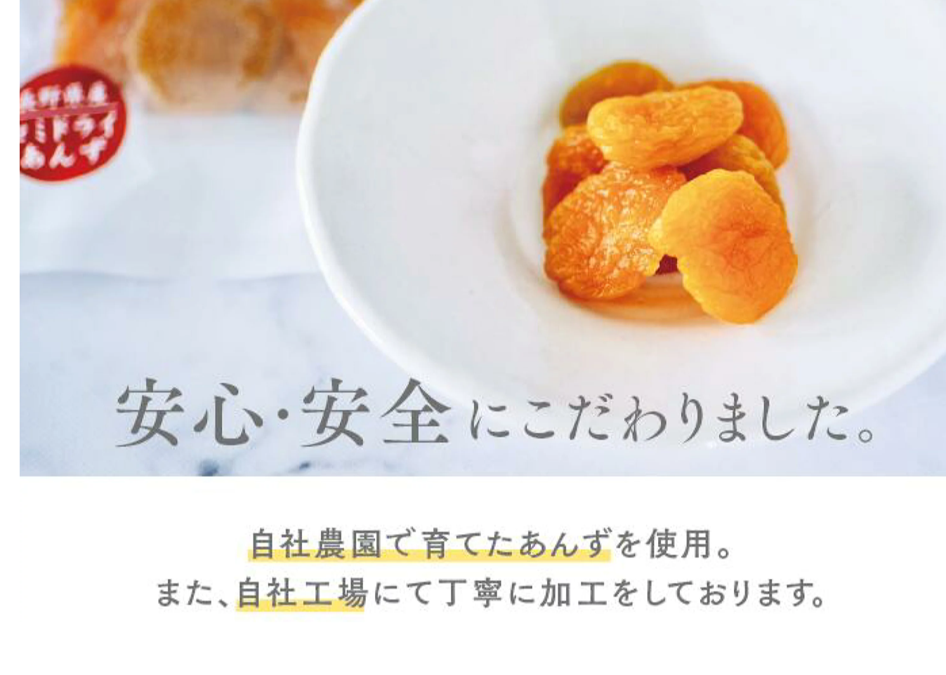 🍊セミドライあんず(ミニ) 40g | yokoshima anzu store (横島 あんず)