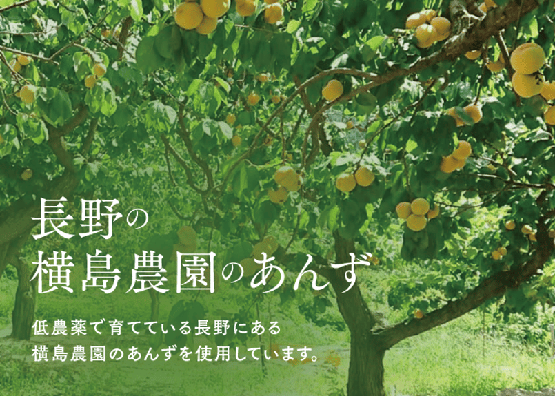 🍊杏スパークリング (炭酸飲料)310ml6本ギフト | yokoshima anzu sto