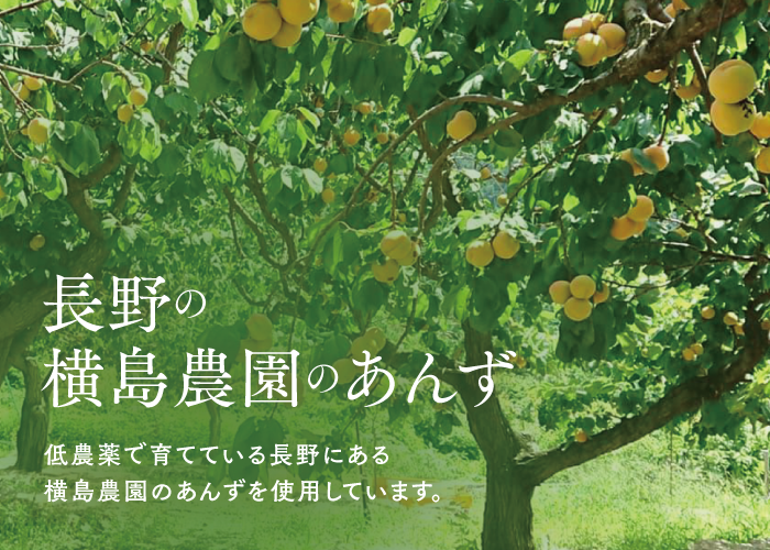 🍊杏スパークリング (炭酸飲料)310ml6本ギフト | yokoshima anzu sto