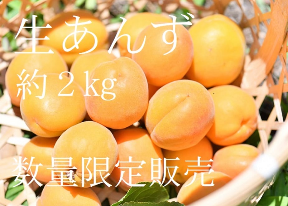5fed1d6372eb4668d66d8c33