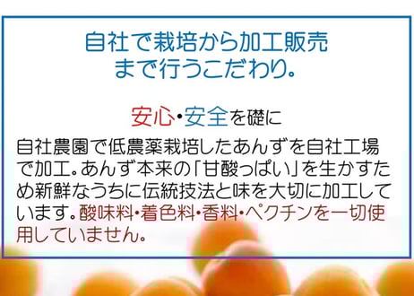 A 特選 ハーコット 生食用 約1.2kg箱 (2パック)