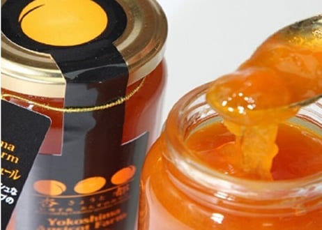🍊杏コンフイチュール&コンポート(各180g) 3本入ギフト