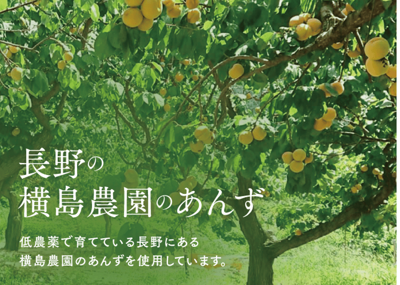 🍊わり杏シロップ漬 300g(固形量160g) 数量限定 | yokoshima