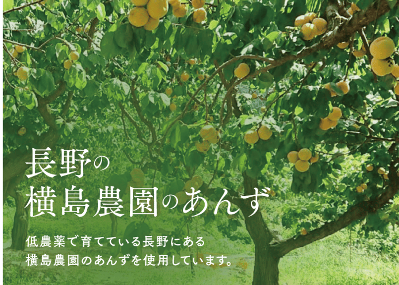 🍊セミドライあんず(半生) 100g | yokoshima anzu store (横島