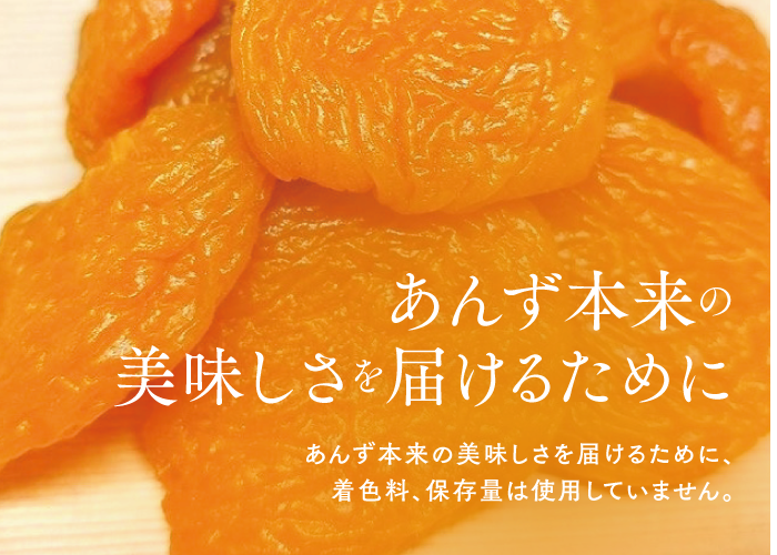 ★non★ 信州産生あんず 🍊セミドライあんず(半生) 100g | yokoshima anzu store (横島