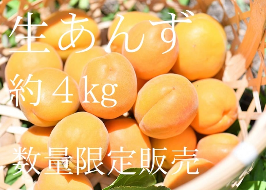 60a5b1e61945c76949123c00