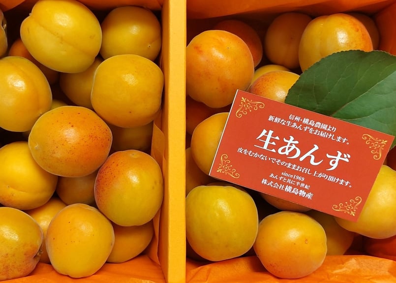 ★non★ 信州産生あんず 🍊セミドライあんず(半生) 100g | yokoshima anzu store (横島