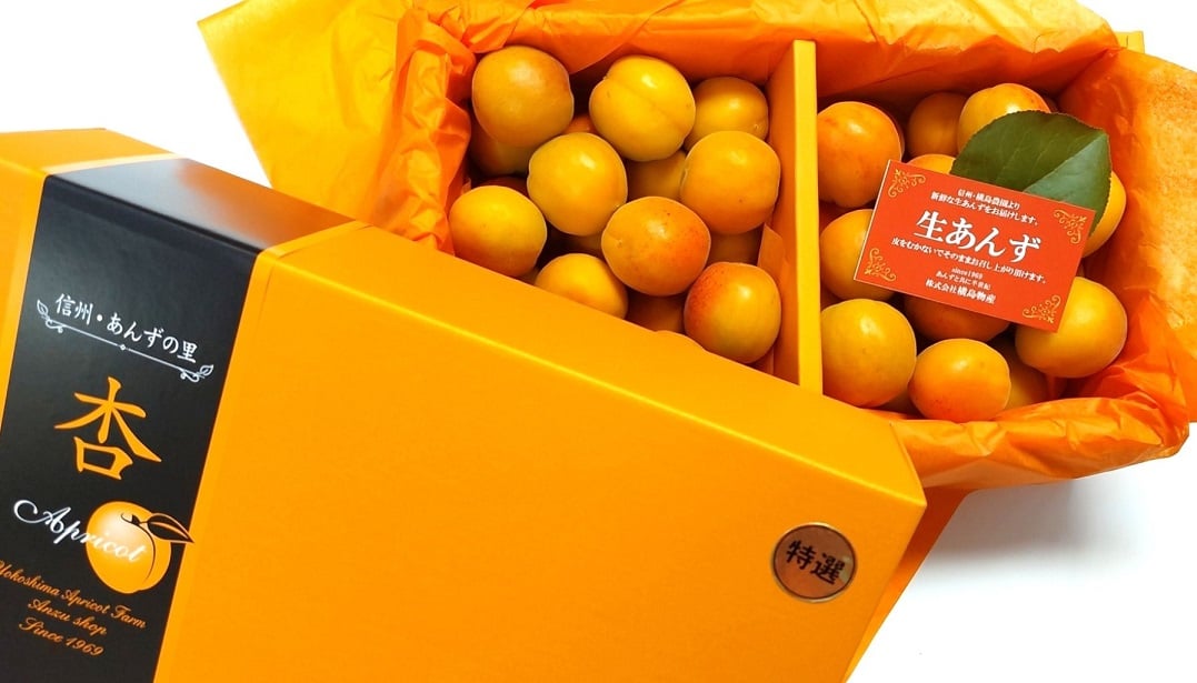 早いものがち！信州産　杏　約10キロ(箱込） 早いものがち！信州産 杏 約10キロ(箱込） - メルカリ