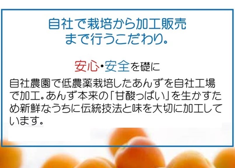 🍊杏 果汁 180ml | yokoshima anzu store (横島 あんず)