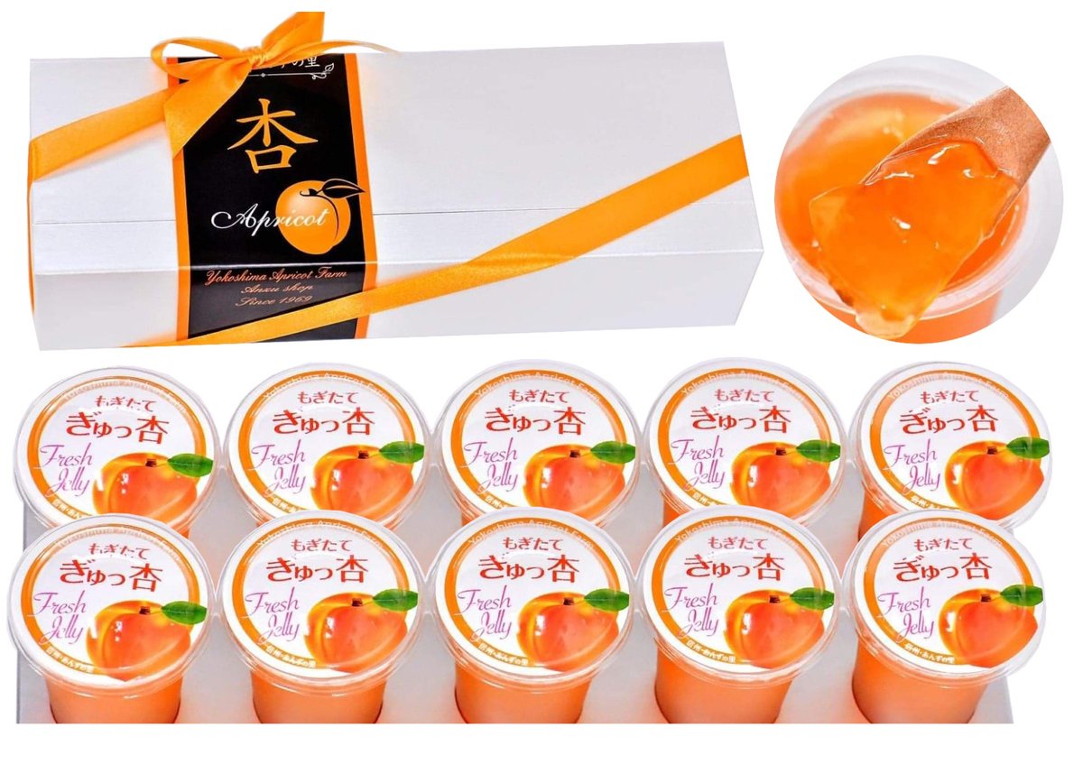 🍊杏ゼリー 125g10個 ギフト | yokoshima anzu store (横島 あんず)
