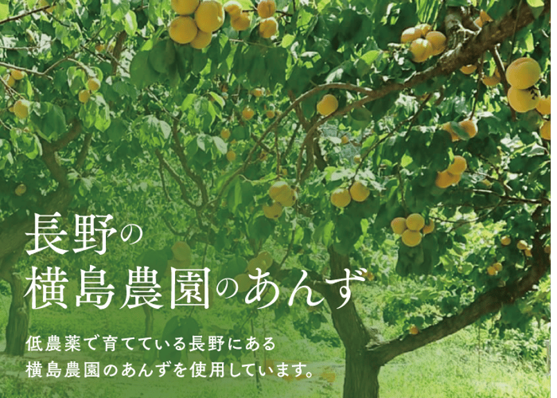 🍊杏 果汁 490ml | yokoshima anzu store (横島 あんず)