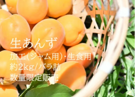C 生あんず 加工(自家用) ・ 約2kg/バラ詰 送料込（クール便