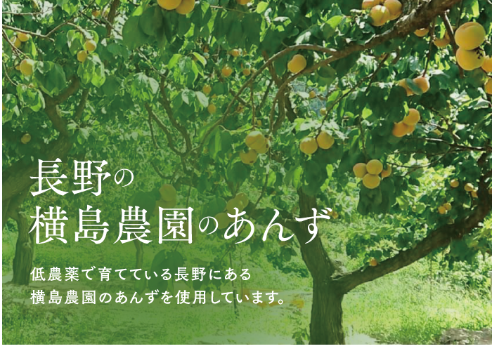🍊ひとくち杏酒 49㎖5個入 | yokoshima anzu store (横島 あんず)