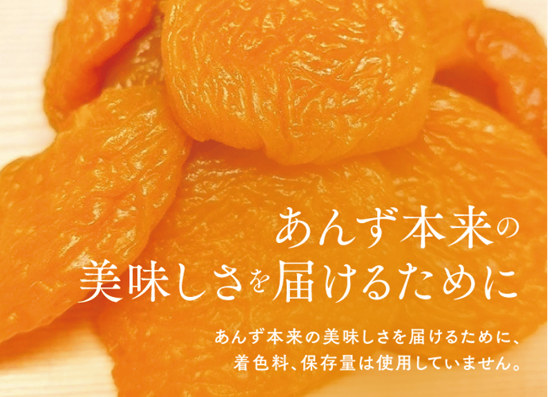 🍊セミドライ&天日干しあんず(各100g) 2点ギフト | yokoshima anzu st