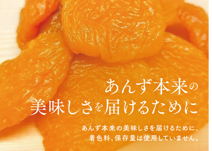 🍊セミドライ&天日干しあんず(各100g) 2点ギフト | yokoshima anzu st