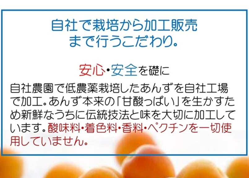 🍊セミドライあんず(ミニ) 40g | yokoshima anzu store (横島 あんず)