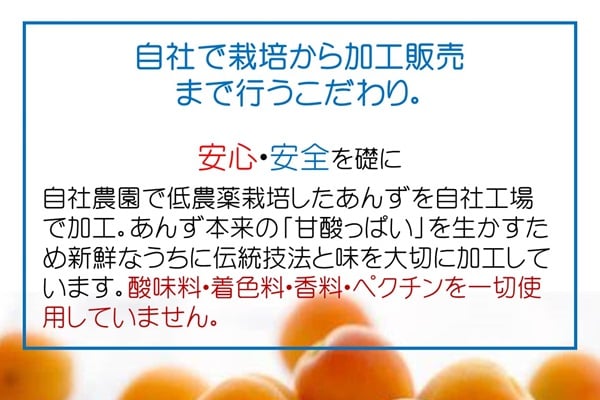 あんず様ご確認用ページ☆ 🍊セミドライあんず(ミニ) 40g | yokoshima anzu store (横島 あんず)