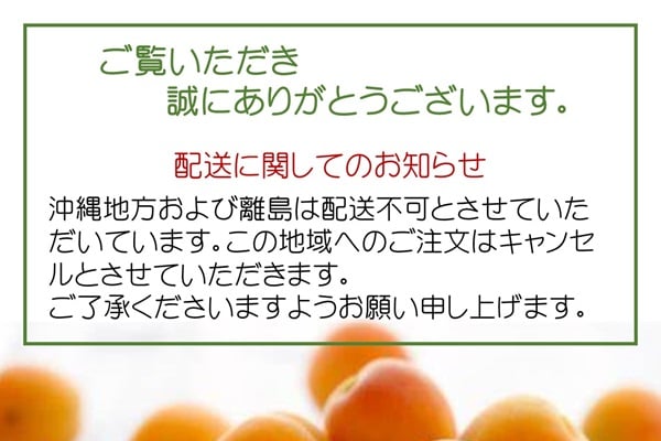 🍊杏スパークリング (炭酸飲料)310ml6本ギフト | yokoshima anzu sto