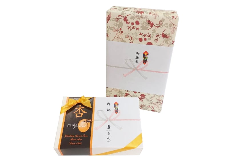 🍊セミドライ&天日干しあんず(各100g) 2点ギフト | yokoshima anzu st