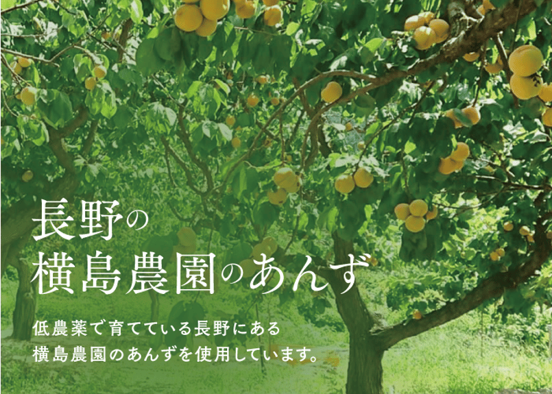 🍊杏コンフィチュール 180g | yokoshima anzu store (横島 あんず)