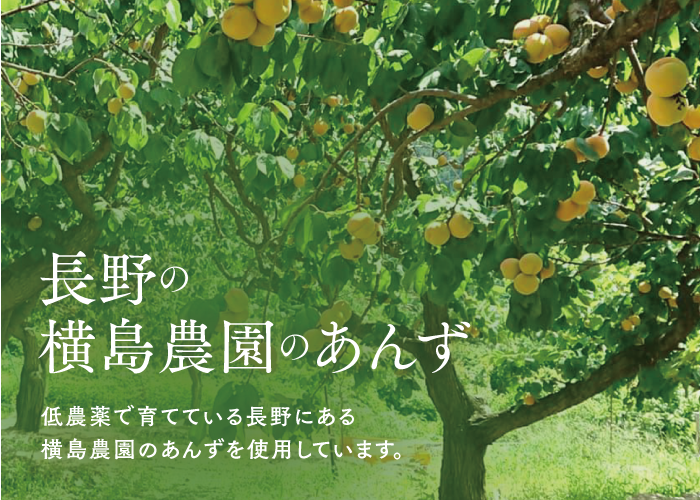 🍊杏コンフィチュール 180g | yokoshima anzu store (横島 あんず)