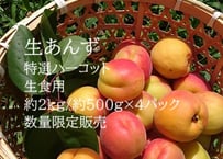 A 特選 ハーコット・生食用 約1.2kg/ 約600g×2パック
