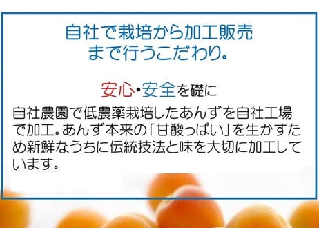 🍊半生杏 100g