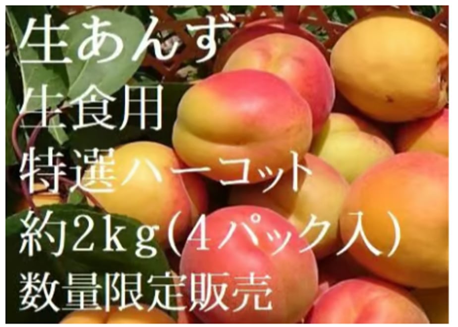 5fd49c77b00aa31b74712d90