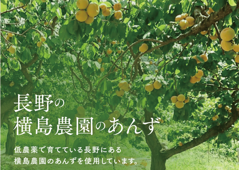 🍊特選 杏4点ギフト | yokoshima anzu store (横島 あんず)