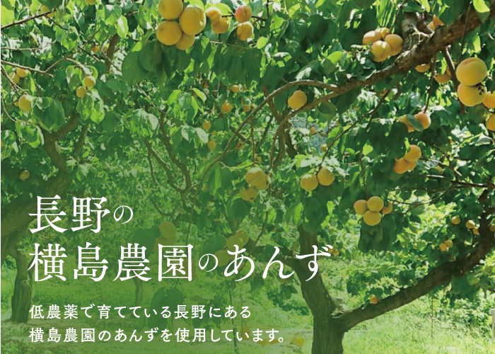 🍊特選 杏4点ギフト | yokoshima anzu store (横島 あんず)