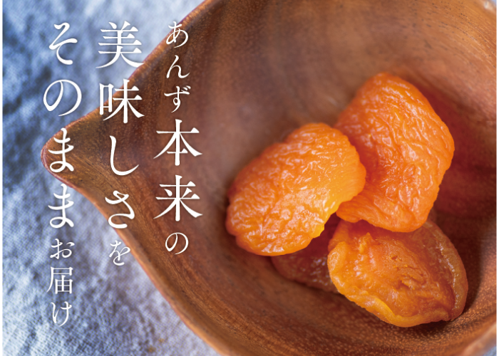 🍊半生杏 100g | yokoshima anzu store (横島 あんず)
